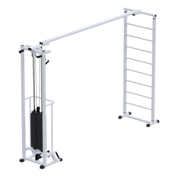 Профессиональный тренажер Биотонус + шведская стенка стек 100 кг Sabirgym SG087.1*2050*100 армс - Спорттовары