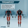 ���������� ������������ PREMIER PROF-M ����-���� ���������������� vasilgym - �����������