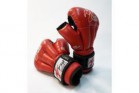 �������� ��� ����������� ��� FIGHT-1 �4�� - �����������
