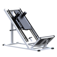 ���������������� ������� �������� ���� ������ ����� Sabirgym SG036 arms - �����������