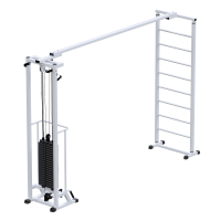 ���������������� �������� �������� + �������� ������ ���� 60 �� Sabirgym SG087.1*2200*60 black step - �����������