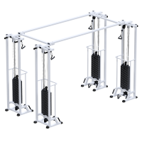 ���������������� ������������������� ���������������� �������� ��������-4 Sabirgym SG089.4*2200*100 4 ����� �� 100 �� armssport  ������� �������� - �����������