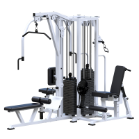 ���������������� ������� �������� ������������� ������� Sabirgym SG097�4�100 ����� 4�100 �� ironking - �����������