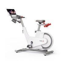 ������������ YESOUL Smart Spinning bike V1 ����� V1 WHITE ����-���� - �����������