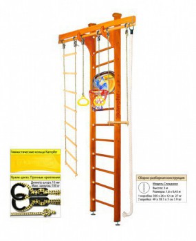   Kampfer Wooden Ladder Ceiling Basketball Shield s-dostavka - Kettler