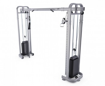  DFC HomeGym D10098 / 2   90     vasil - 