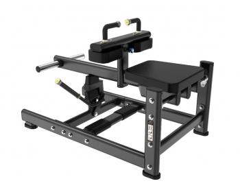      Protrain LFP123     vasil-gym - 
